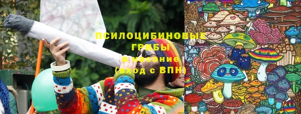 мдпв Абаза