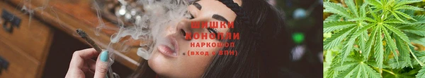 не бодяженный Алзамай