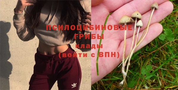 МДПВ Абинск