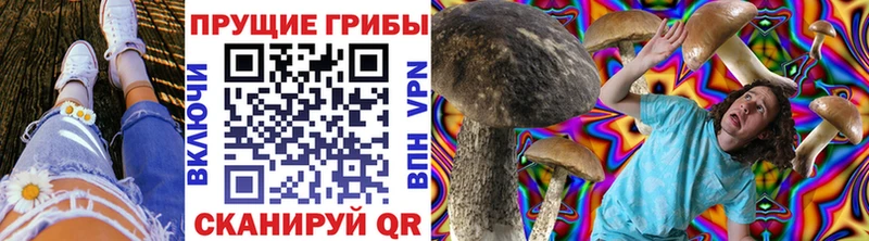 Псилоцибиновые грибы Cubensis Богородск