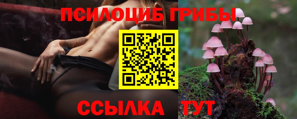 Галлюциногенные грибы Psilocybe  Псилоцибиновые грибы Cubensis  Богородск  Вход с VPN 